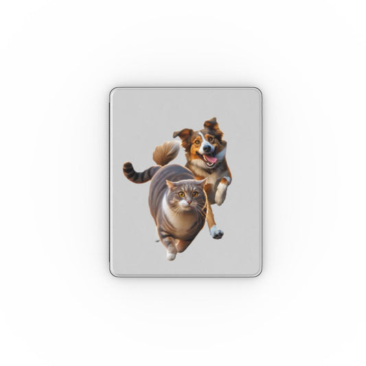 Apple iPad Case